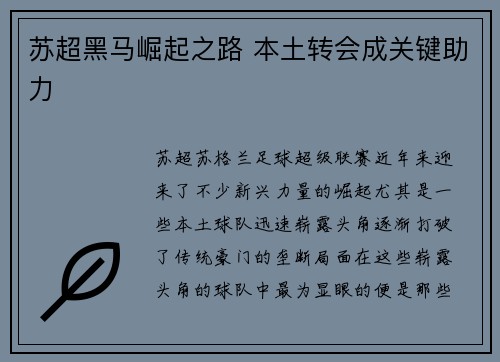苏超黑马崛起之路 本土转会成关键助力